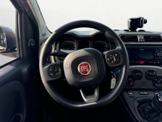 FIAT Panda usata, con Airbag testa