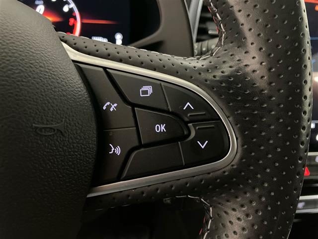 RENAULT Megane usata 17