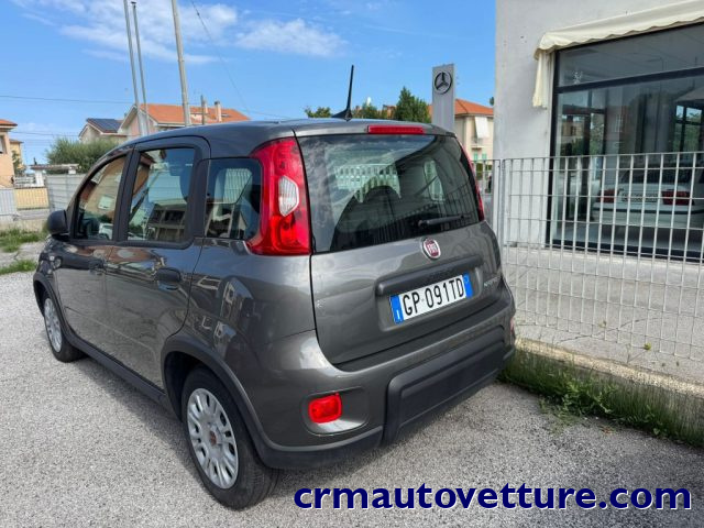 FIAT Panda usata 3