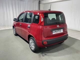 FIAT Panda usata, con Airbag Passeggero