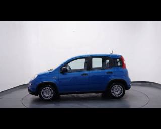 FIAT Panda usata, con Airbag Passeggero