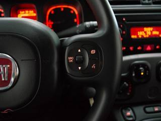 FIAT Panda usata 30
