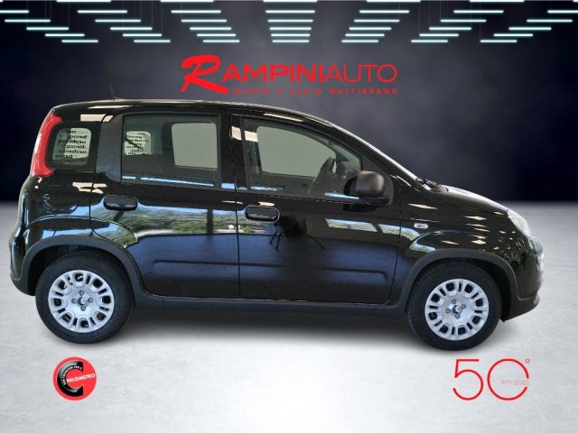 FIAT Panda usata 5