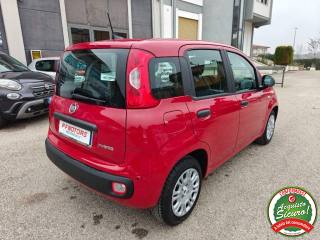 FIAT Panda usata, con Alzacristalli elettrici