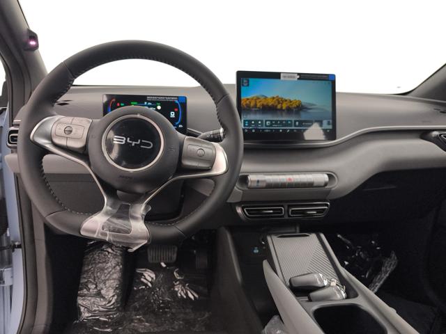 BYD Dolphin Surf usata, con ESP