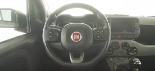 FIAT Panda usata 35
