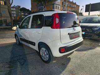 FIAT Panda usata, con Airbag Passeggero