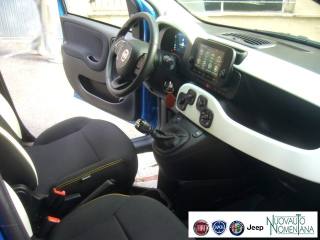 FIAT Panda Cross usata, con Frenata d