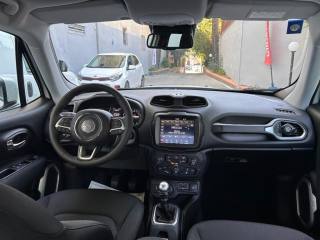 JEEP Renegade usata, con Cerchi in lega