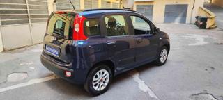 FIAT Panda usata, con Alzacristalli elettrici