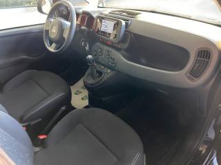 FIAT Panda usata, con Chiusura centralizzata