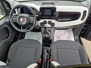 FIAT Pandina usata, con Fendinebbia