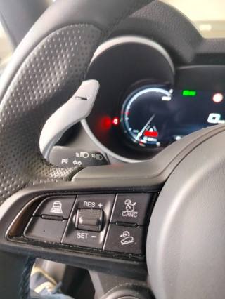 ALFA ROMEO Stelvio usata 36