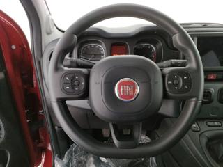 FIAT Panda Cross usata, con Controllo trazione