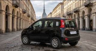 FIAT Panda usata, con Antifurto