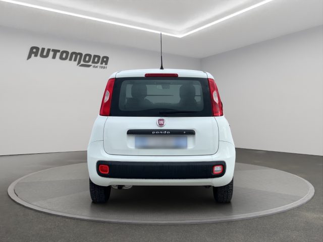 FIAT Panda usata, con Controllo trazione