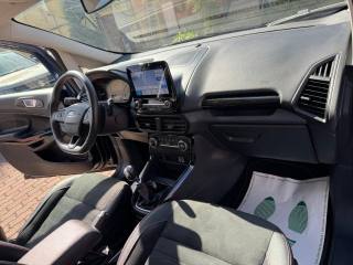 FORD EcoSport usata, con Fendinebbia
