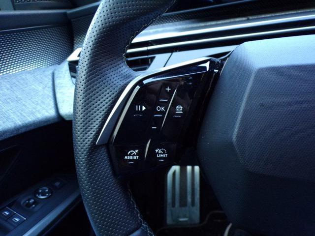 PEUGEOT 3008 usata 100