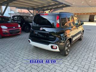 FIAT Pandina usata, con Antifurto