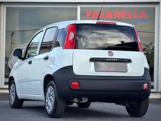 FIAT Panda usata, con Servosterzo