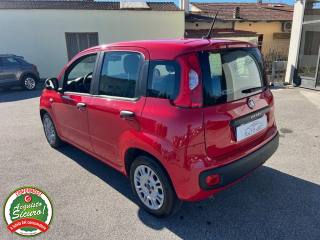 FIAT Panda usata, con Cronologia tagliandi