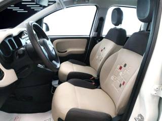 FIAT Panda usata 12