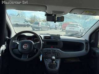FIAT Panda usata 10