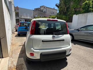FIAT Panda usata, con Alzacristalli elettrici