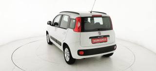 FIAT Panda usata 52