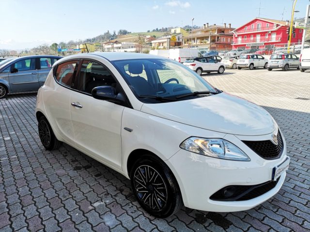 LANCIA Ypsilon usata, con Fendinebbia
