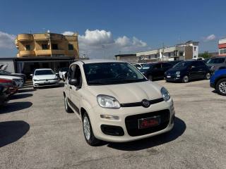 FIAT Panda usata, con Airbag Passeggero