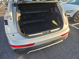 DS AUTOMOBILES DS 7 usata, con Park Distance Control