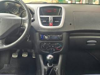 PEUGEOT 206 usata 24