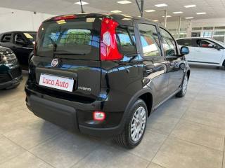 FIAT Panda usata, con Boardcomputer