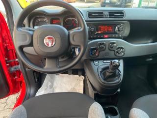 FIAT Panda usata, con Controllo trazione