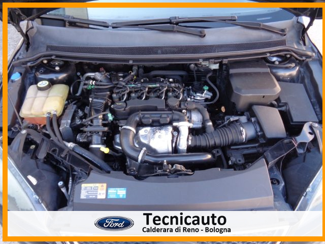 FORD Focus usata 18