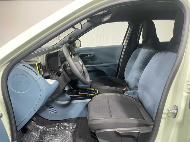 FIAT Grande Panda usata, con ESP