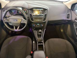 FORD Focus usata 12