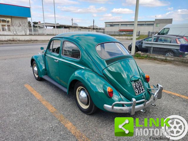 VOLKSWAGEN Maggiolino usata 6