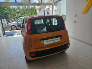 FIAT Panda usata, con Immobilizzatore elettronico