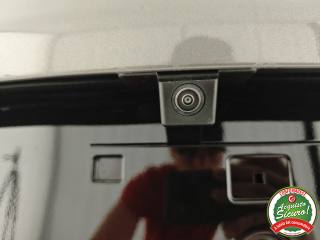 ALFA ROMEO Tonale usata, con Climatizzatore