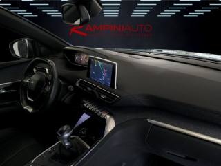 PEUGEOT 3008 usata 19