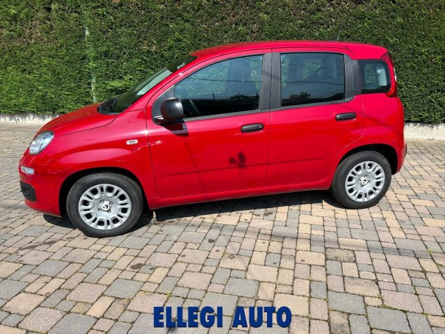 FIAT Panda usata, con Sensori di parcheggio posteriori