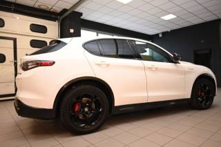 ALFA ROMEO Stelvio usata 96