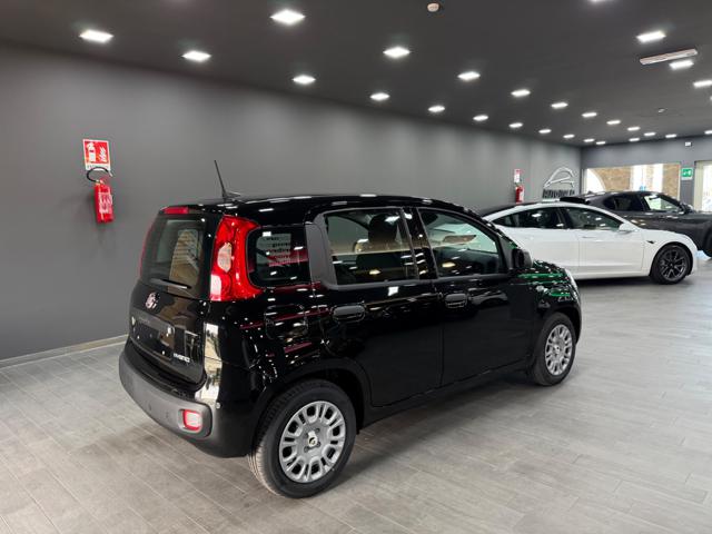 FIAT Pandina usata, con Kit antipanne
