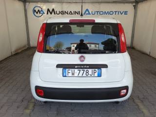 FIAT Panda usata, con Servosterzo