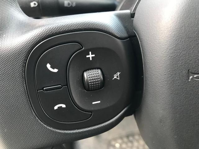 FIAT Panda Cross usata, con Volante multifunzione
