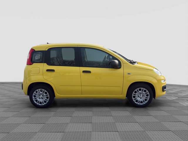 FIAT Panda usata 6
