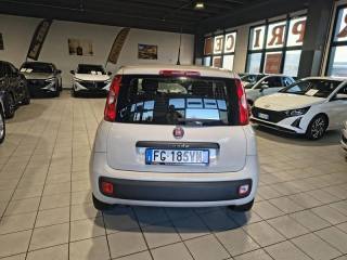 FIAT Panda usata, con Boardcomputer