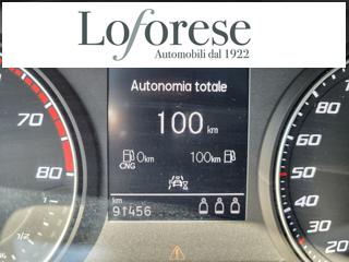 SEAT Ibiza usata, con Servosterzo